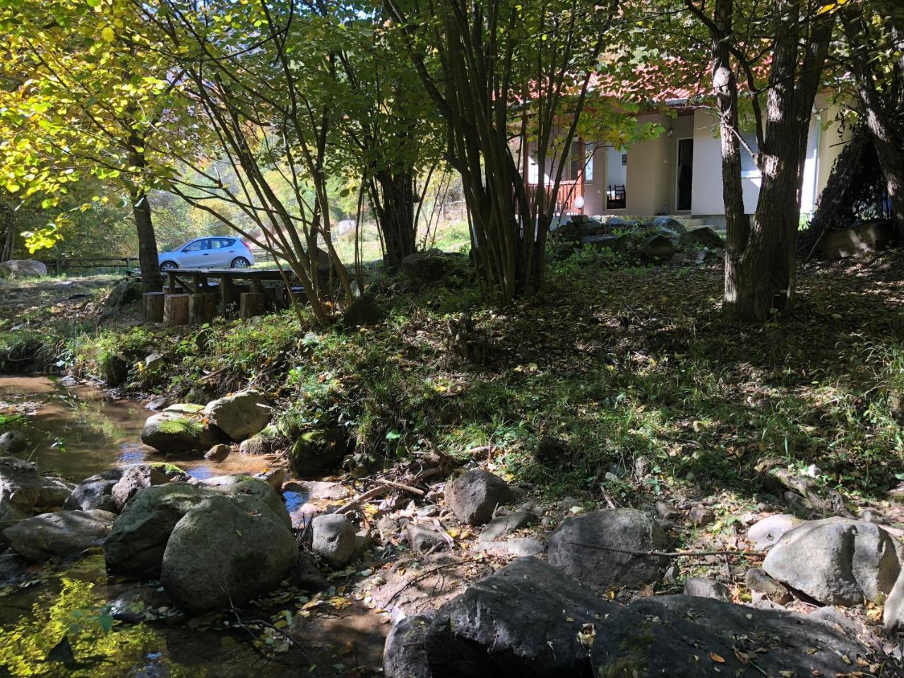 Vila Idila Crni Vrh Esterno foto